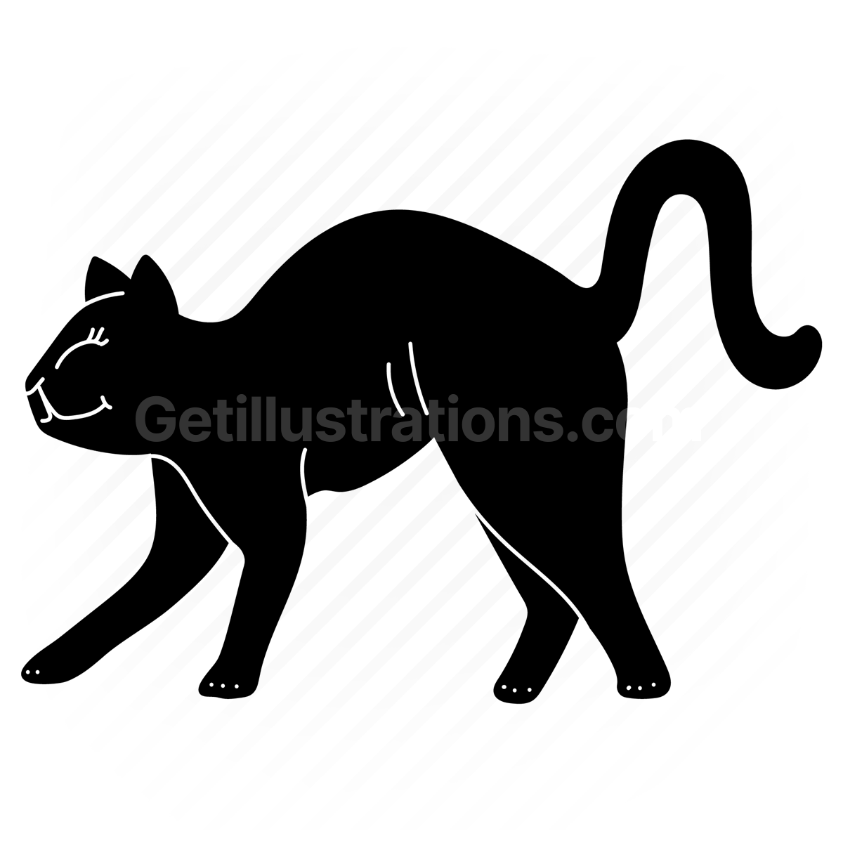 black cat, feline, cat, animal, wildlife, mammal, dark